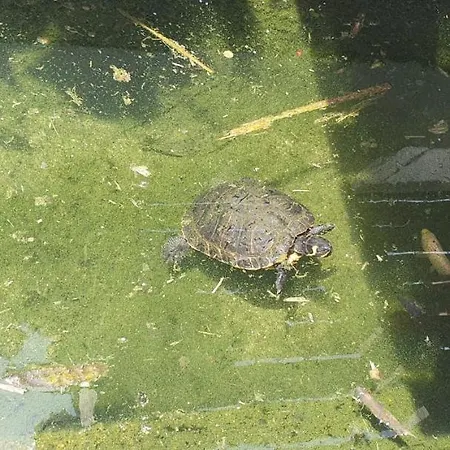 Quinta Moinho Do Monte *