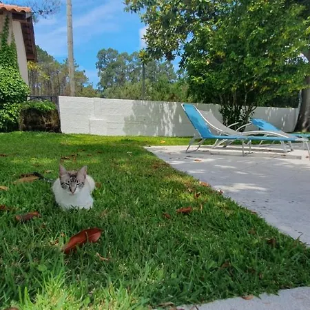 Quinta Moinho Do Monte