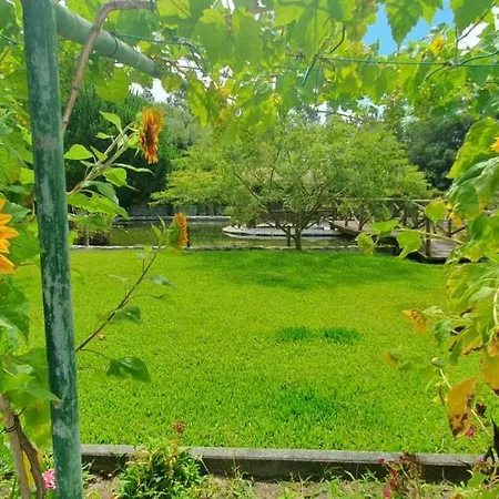 Tatil Evi Quinta Moinho Do Monte Mira (Coimbra)