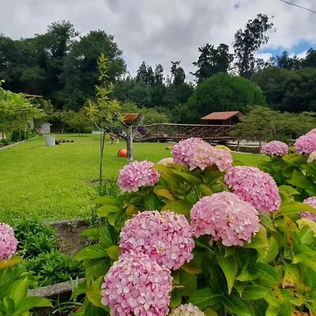Tatil Evi Quinta Moinho Do Monte
