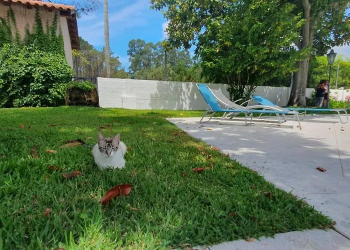 Quinta Moinho Do Monte