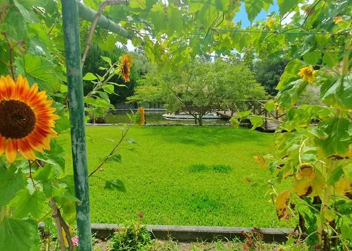 Hébergement de vacances Quinta Moinho Do Monte Mira (Coimbra)