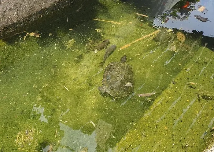 Hébergement de vacances Quinta Moinho Do Monte *
